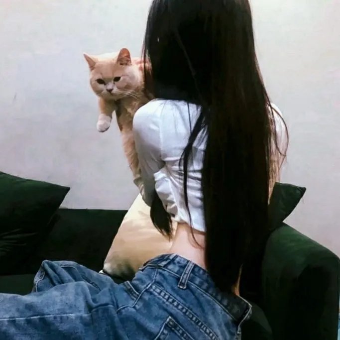 我的小牛与总统